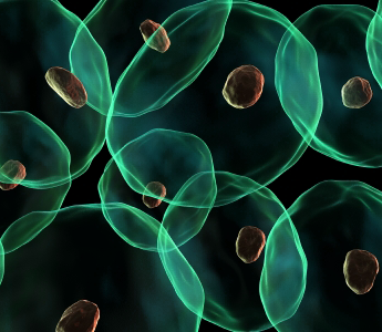 auto pipette, automation lab