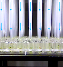 Quadra Dispense Timed Dispense, Robotic Liquid Handler