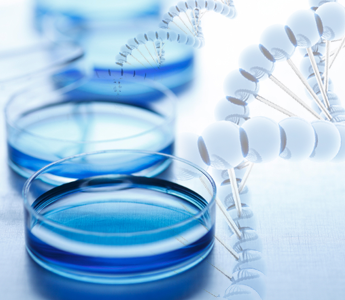 liquid handling, liquid handler, liquid handling equipment, automated liquid handling