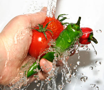 Liquid Handling Automation