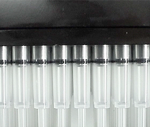 Quadra4, Timed Dispense